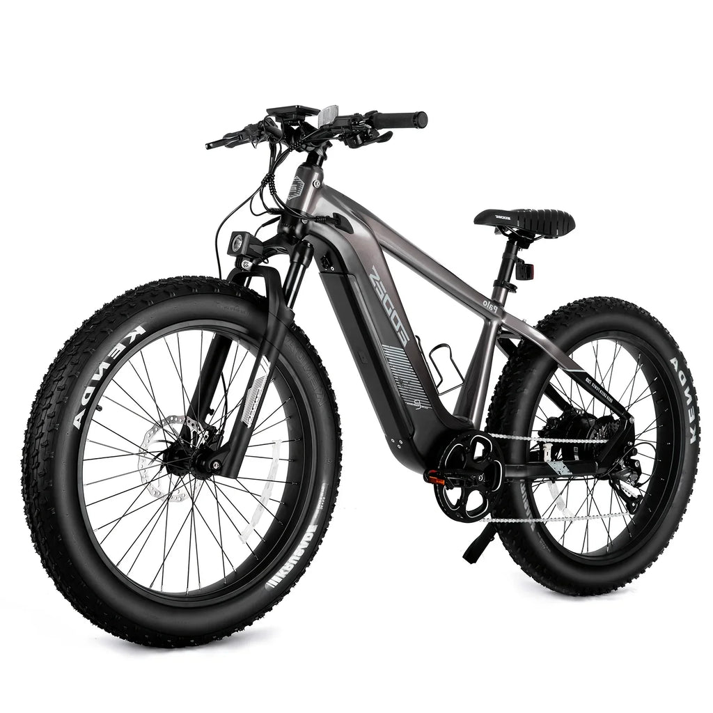 eBike Boys 52V 750W Adult eBike - 17AH Battery, Top Speed 32km/h
