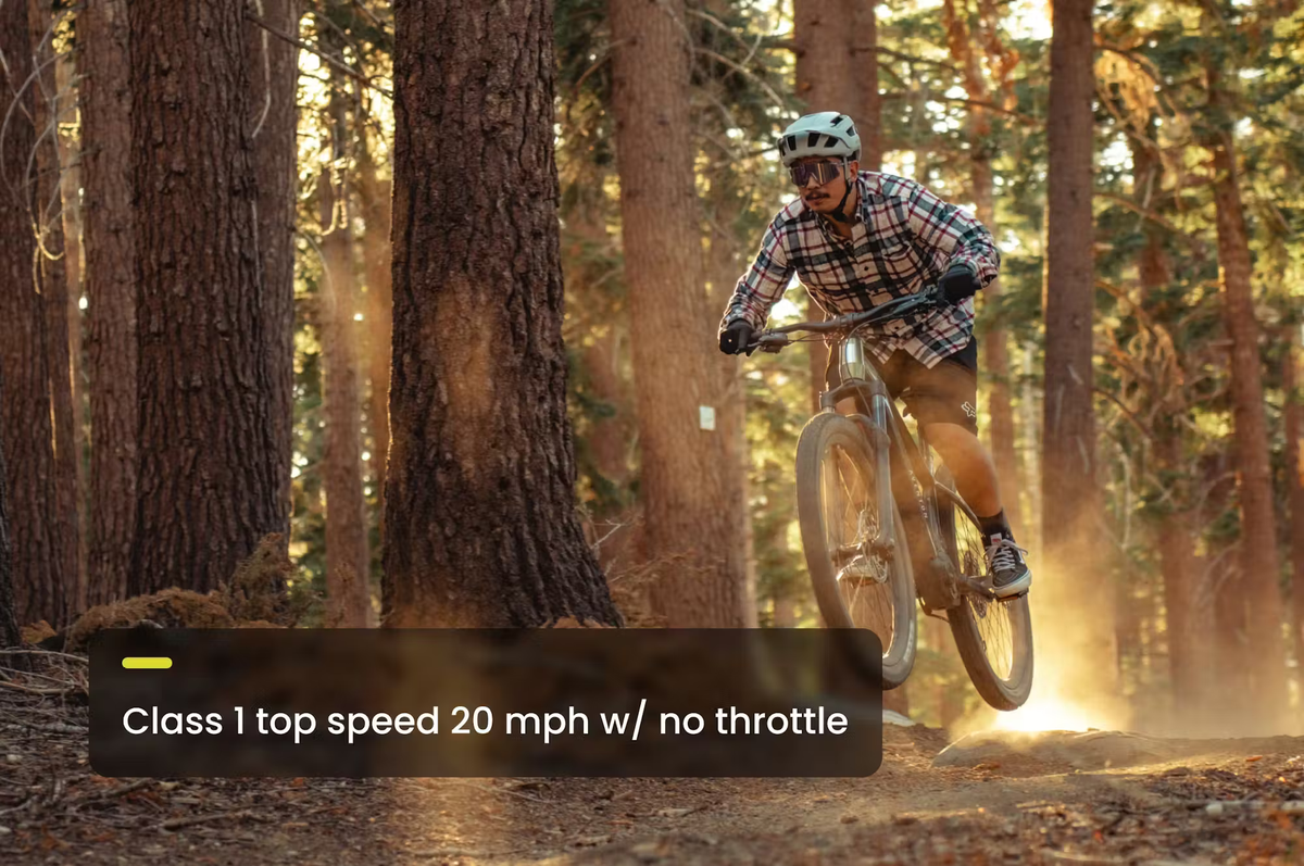 Aventon RAMBLAS eMTB